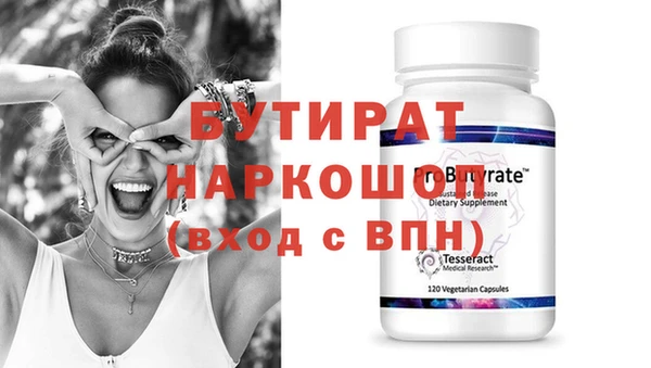 индика Каменка