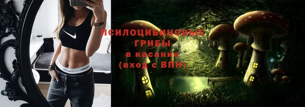 гашик Карталы