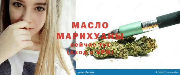 индика Каменка