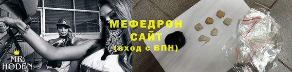 индика Каменка