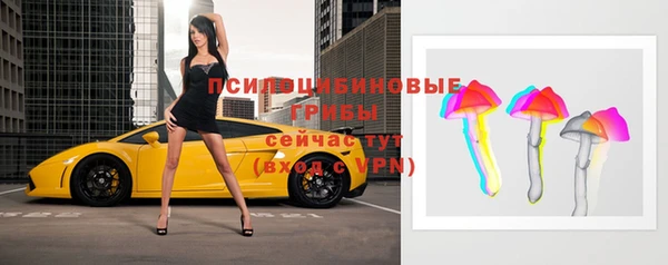 индика Каменка