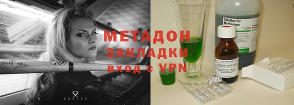 индика Каменка