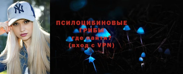 индика Каменка