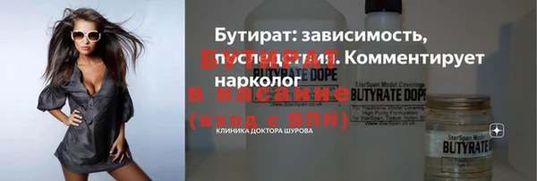 индика Каменка