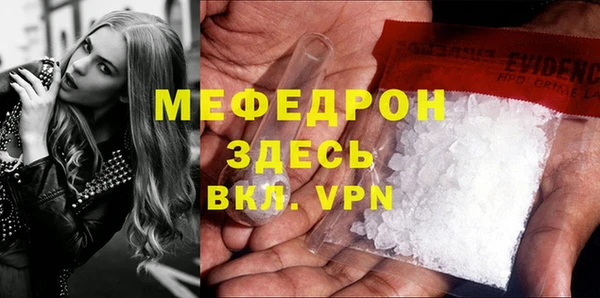 индика Каменка
