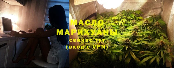 индика Каменка