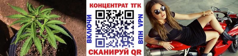 Купить  Кунгур  Дистиллят ТГК Wax 