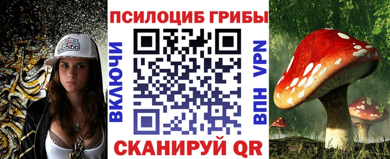 Купить закладки  Кунгур  Галлюциногенные грибы Magic Shrooms 